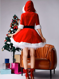 Festive Velvet Christmas Costume Dress