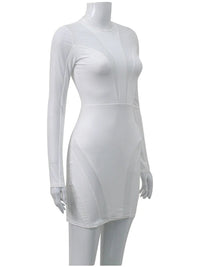 See Through O-neck Long Sleeve Mesh Bodycon Dress - Thingy-London