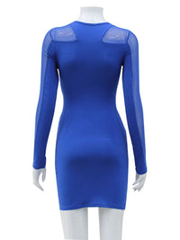 See Through O-neck Long Sleeve Mesh Bodycon Dress - Thingy-London