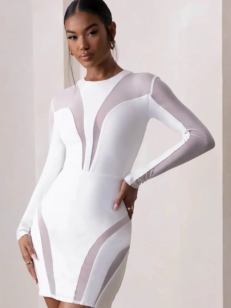 See Through O-neck Long Sleeve Mesh Bodycon Dress - Thingy-London