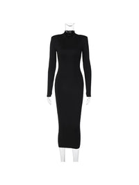 Turtleneck Sexy Long Sleeve Bodycon Dress - Thingy-London