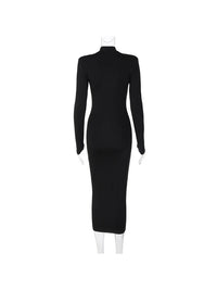 Turtleneck Sexy Long Sleeve Bodycon Dress - Thingy-London